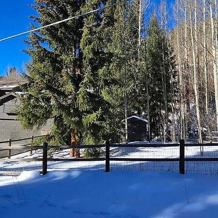 Private And Updated Breck Home With Hot Tub Breckenridge Εξωτερικό φωτογραφία